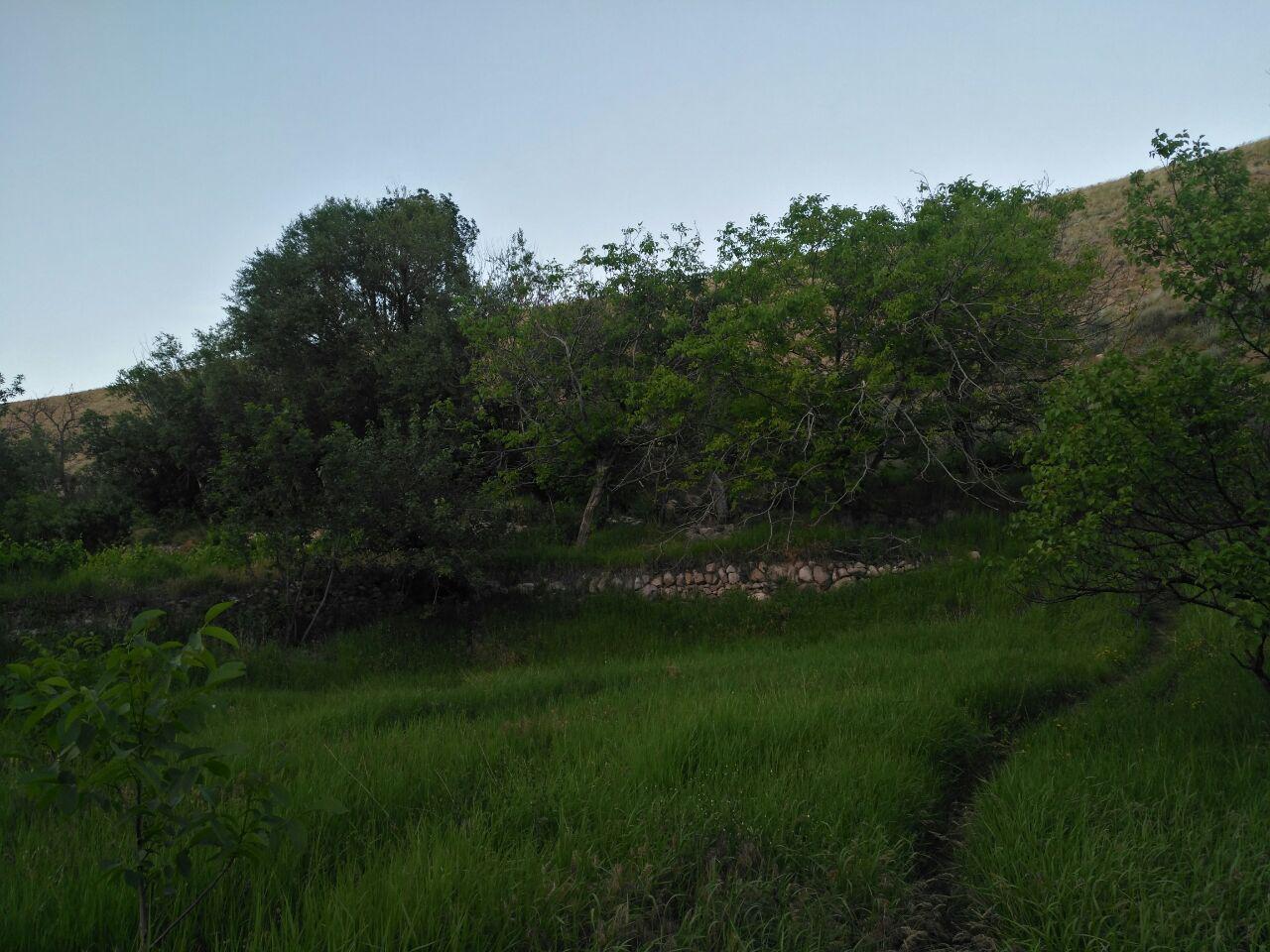 عکس باغ روستایی