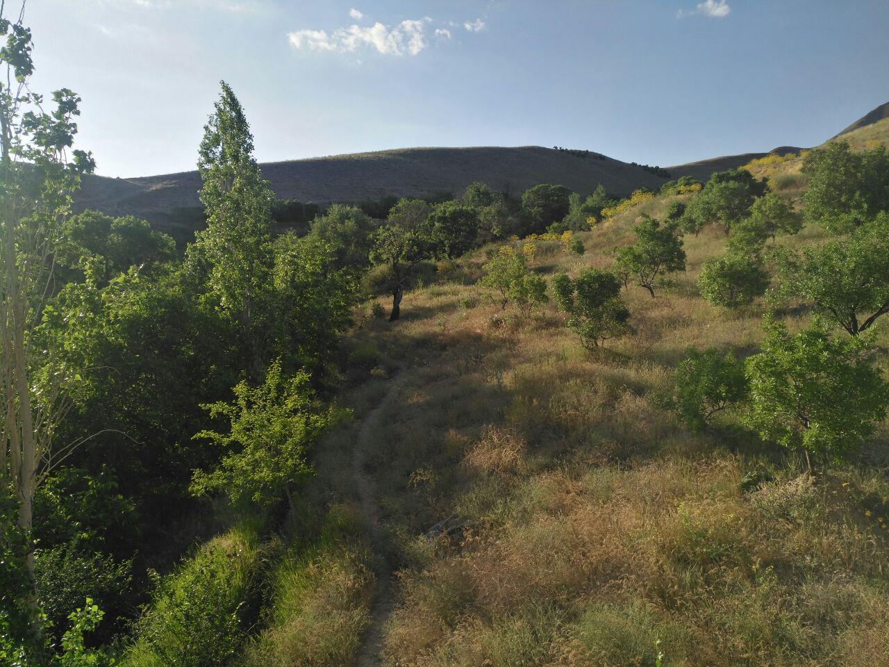  عکس باغ روستایی