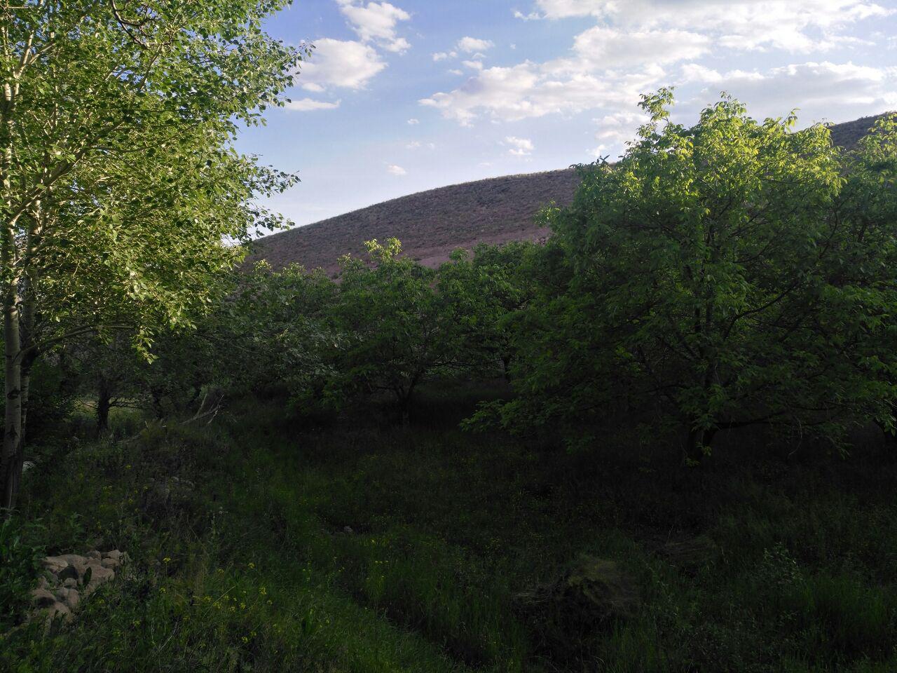  عکس باغ روستایی